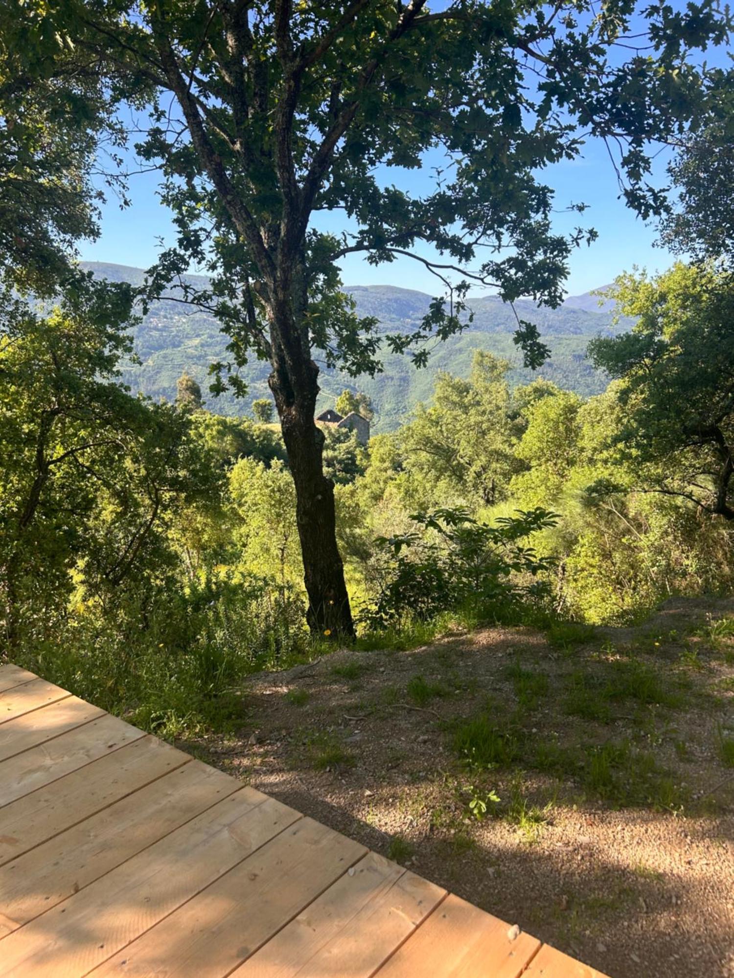 Monkey Tiny Barnhouse With Amazing Views! Villa Folhadosa Bagian luar foto