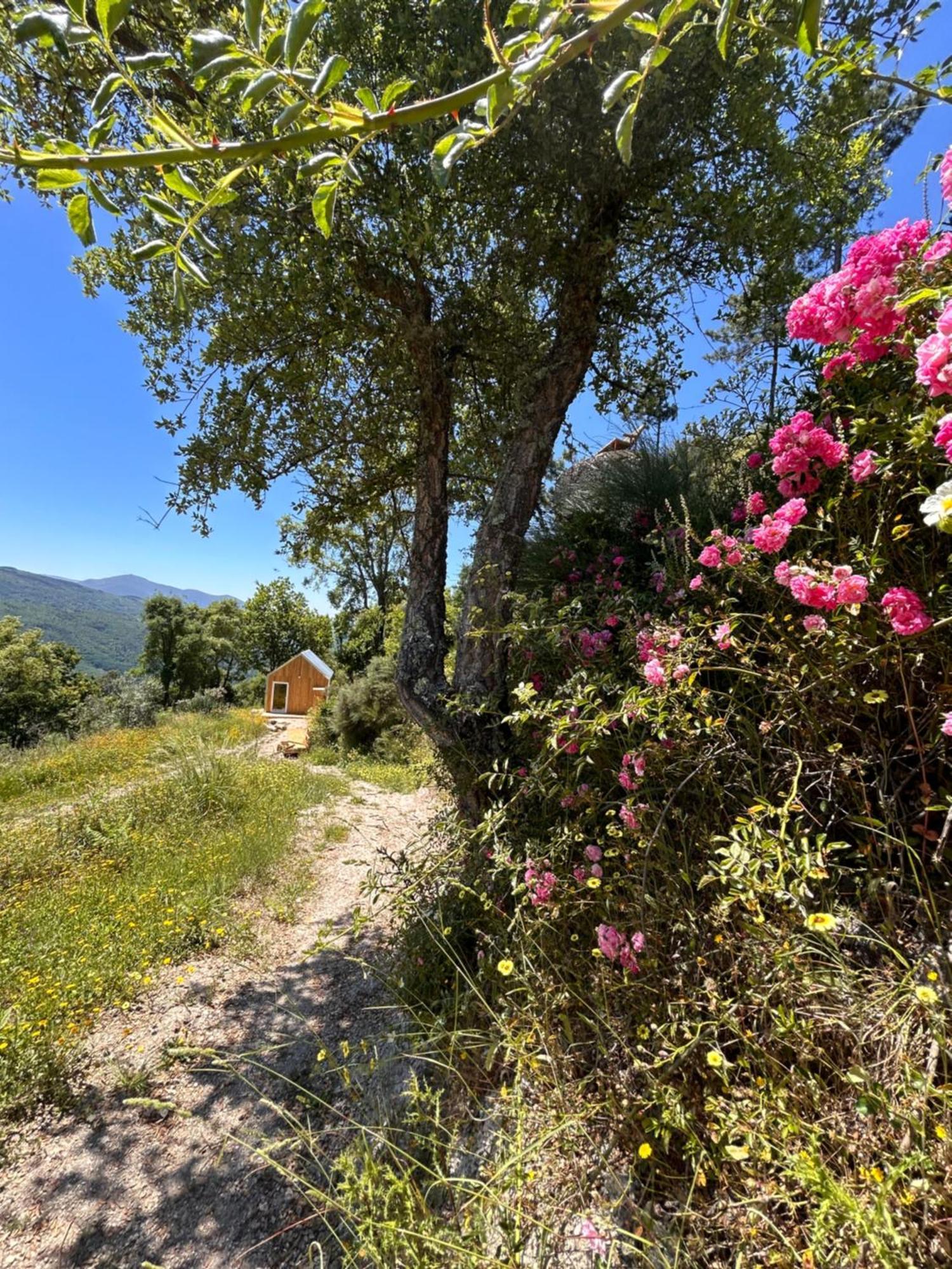 Monkey Tiny Barnhouse With Amazing Views! Villa Folhadosa Bagian luar foto