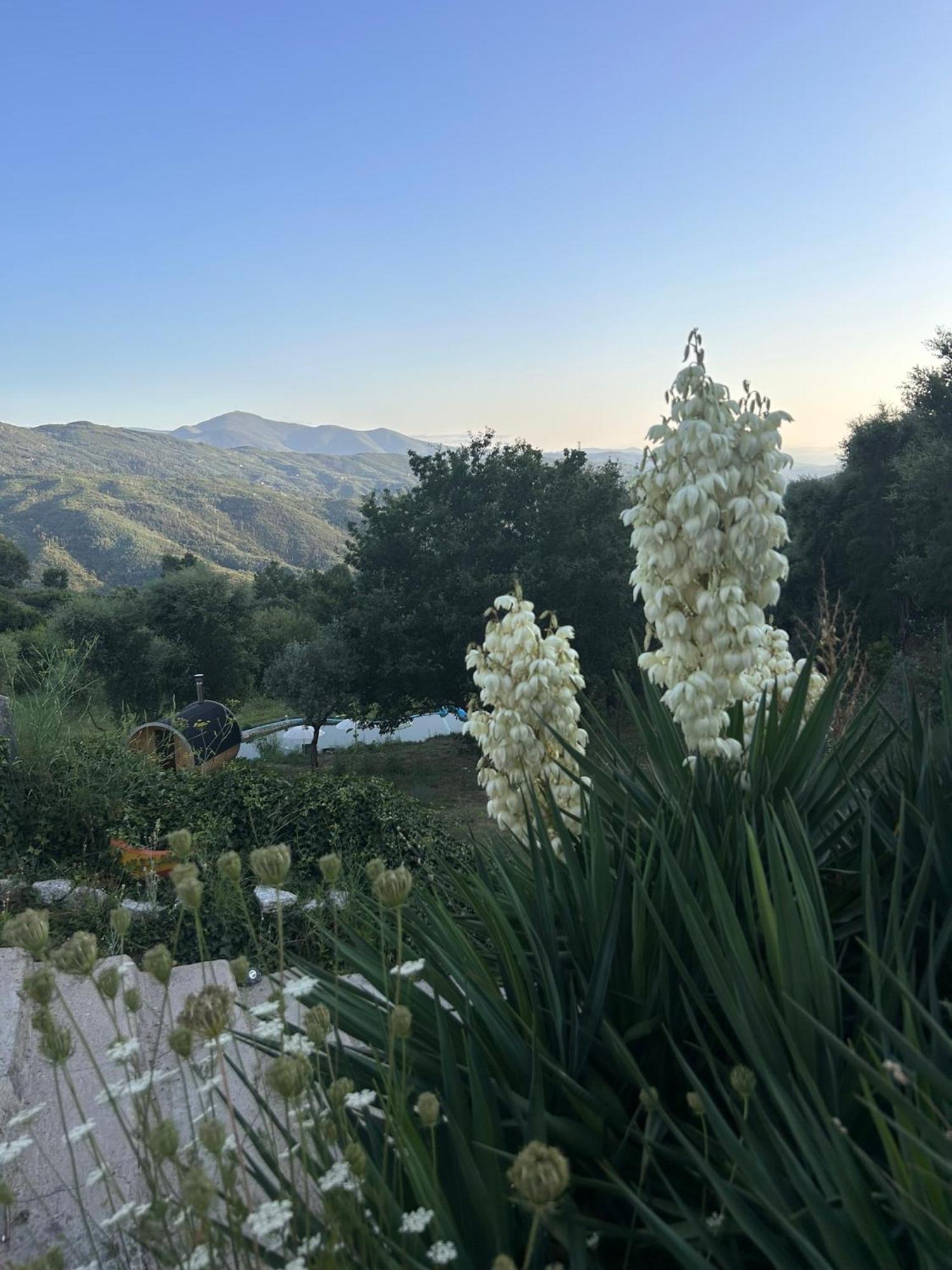 Monkey Tiny Barnhouse With Amazing Views! Villa Folhadosa Bagian luar foto