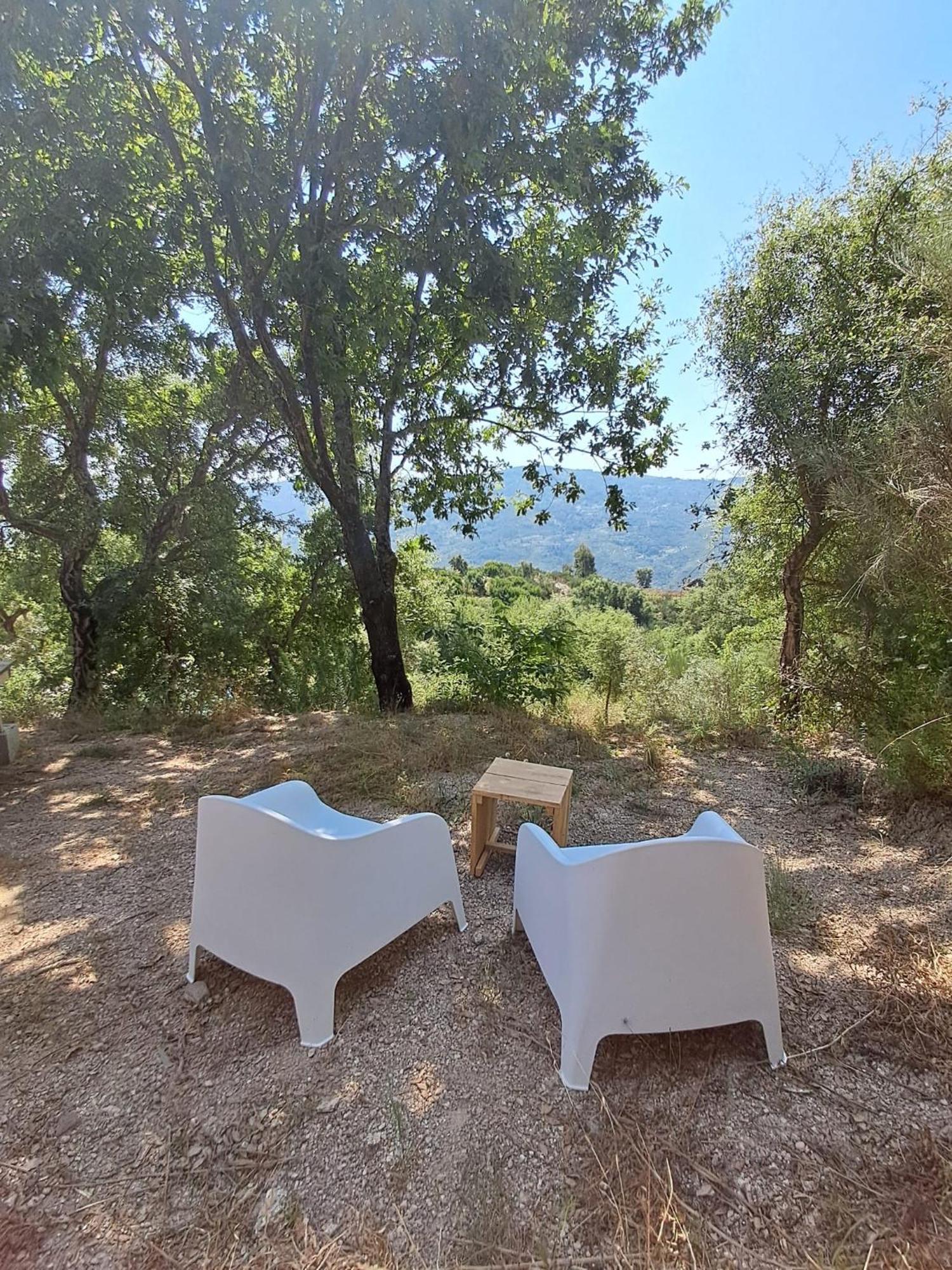 Monkey Tiny Barnhouse With Amazing Views! Villa Folhadosa Bagian luar foto