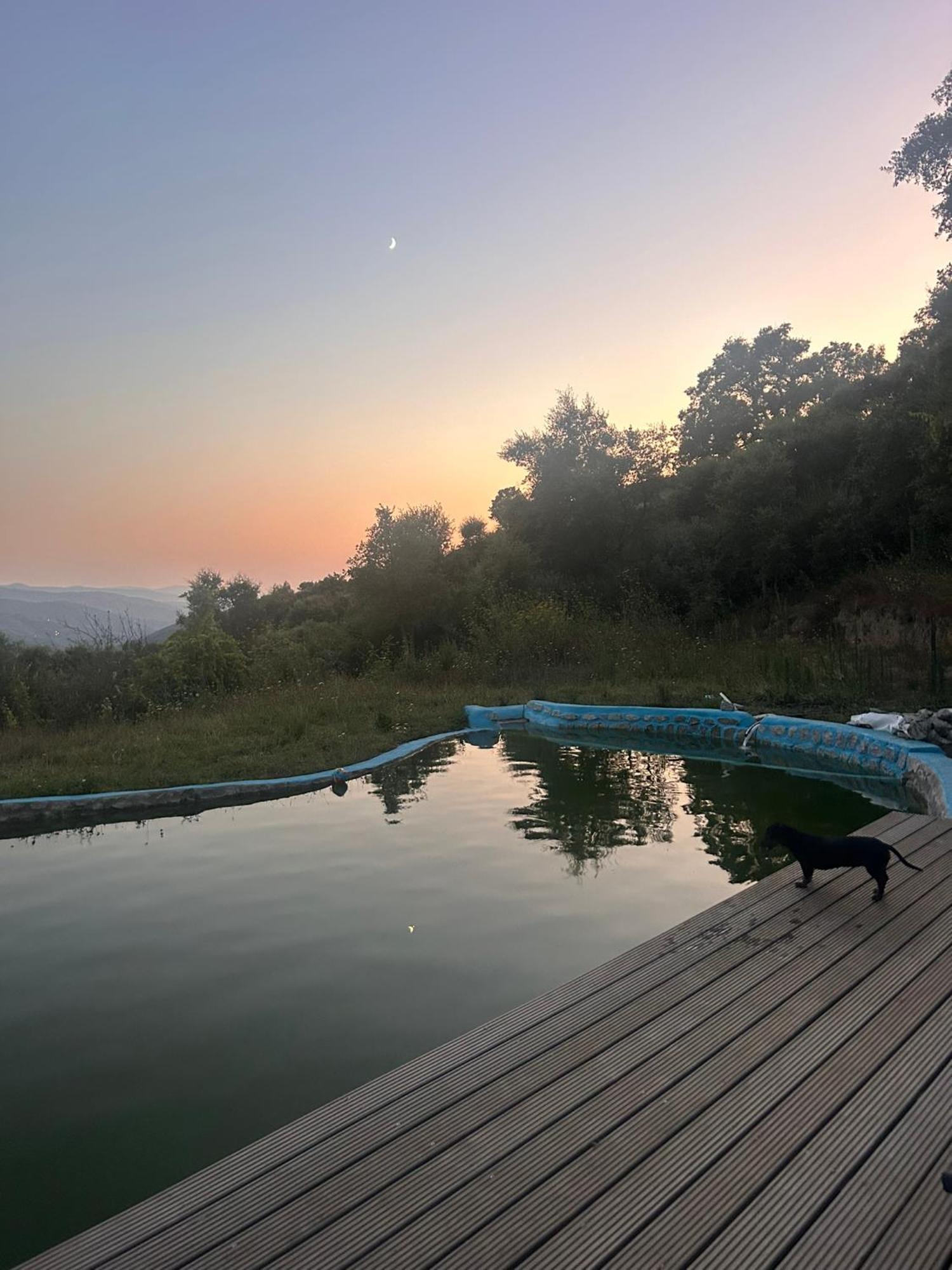 Monkey Tiny Barnhouse With Amazing Views! Villa Folhadosa Bagian luar foto