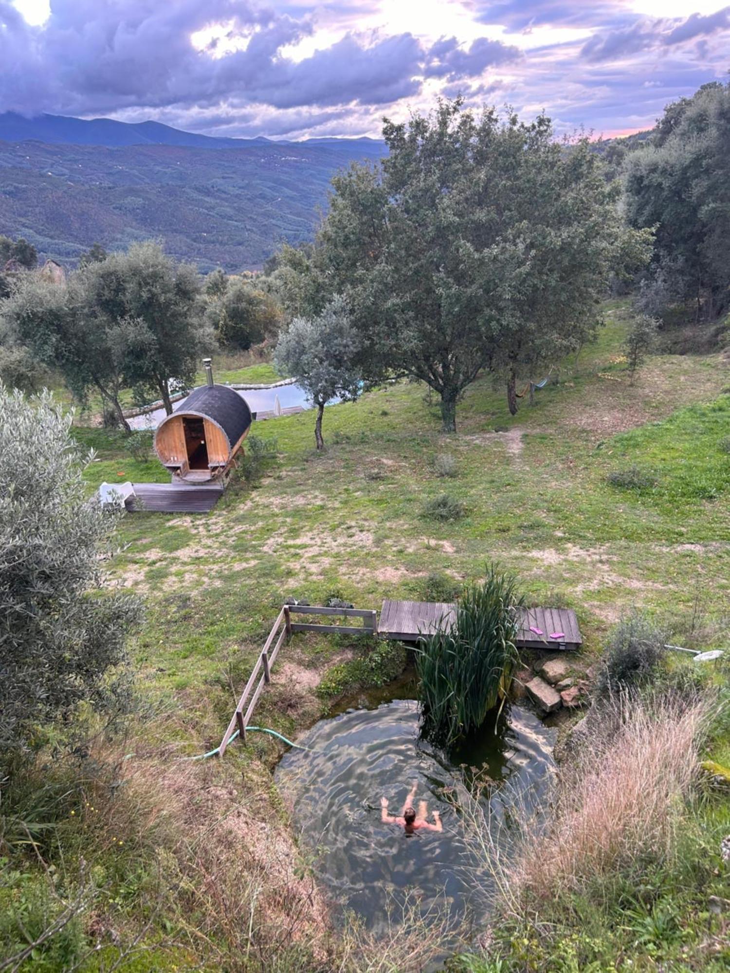 Monkey Tiny Barnhouse With Amazing Views! Villa Folhadosa Bagian luar foto
