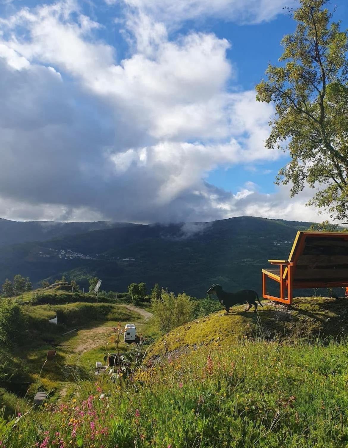 Monkey Tiny Barnhouse With Amazing Views! Villa Folhadosa Bagian luar foto